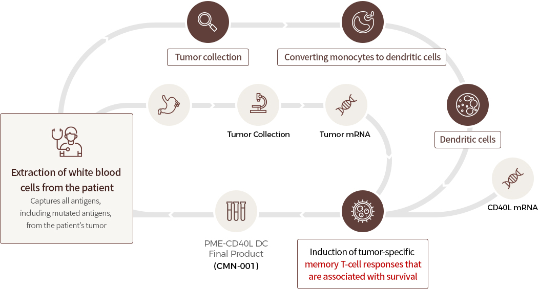 mRNA 기반 수지상세포 항암 백신