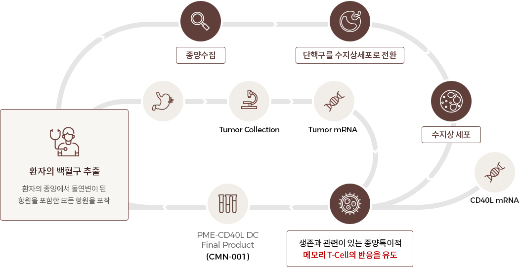 mRNA 기반 수지상세포 항암 백신